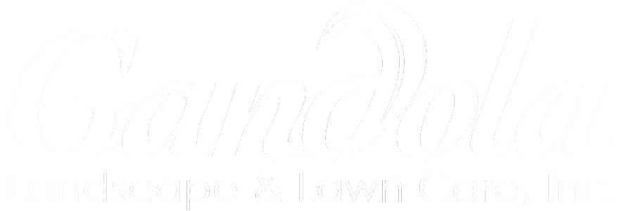 Gandola Landscaping